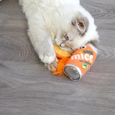 Show full view: Mad Cat Orange Mice Soda Cat Toy with Catnip, Multicolor, 2 count slide 4 of 7