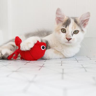 Show full view: Mad Cat Pouncin' Prawn Catnip & Silvervine Cat Toy slide 4 of 6