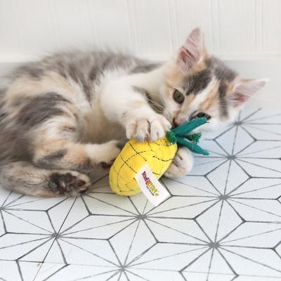 Show full view: Mad Cat Purrfect Pineapple Catnip & Silvervine Cat Toy slide 3 of 6