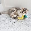 Show in main carousel: Mad Cat Purrfect Pineapple Catnip & Silvervine Cat Toy slide 4 of 6