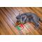 Show in main carousel: Mad Cat Purrfect Pizza Cat Toy with Catnip, Multicolor slide 5 of 6