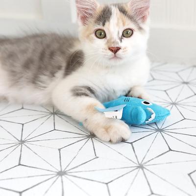 Show full view: Mad Cat Shark Biter Catnip & Silvervine Cat Toy slide 5 of 7