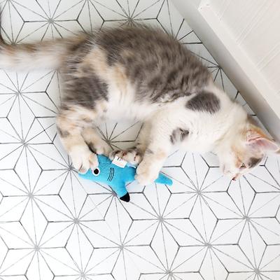 Show full view: Mad Cat Shark Biter Catnip & Silvervine Cat Toy slide 6 of 7