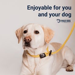 Mad Dog Products English Slip Lead Dog Leash, Red, 6-ft long, 3/8-in wide slide 2 of 5