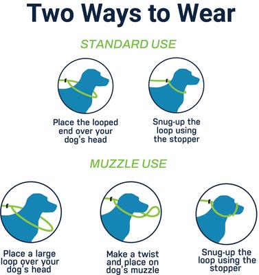 Show full view: Mad Dog Products English Slip Lead Dog Leash, Red, 6-ft long, 3/8-in wide slide 4 of 7