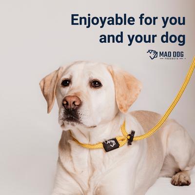 Show full view: Mad Dog Products English Slip Lead Dog Leash, Royal, 6-ft long, 3/8-in wide slide 2 of 7