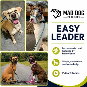 Mad Dog Products Premium Rope Easy Leader Nylon Slip Lead Dog Leash, Orange, 6-ft long, 3/8-in wide