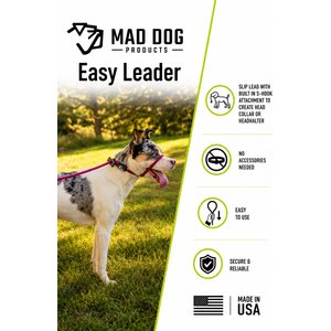 Mad Dog Products Premium Rope Easy Leader Nylon Slip Lead Dog Leash, Orange, 6-ft long, 3/8-in wide