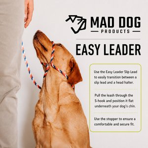 Mad Dog Products Premium Rope Easy Leader Nylon Slip Lead Dog Leash, Orange, 6-ft long, 3/8-in wide