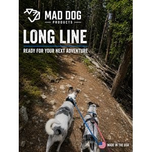 Mad Dog Products Premium Rope Long Line Nylon Slip Lead Dog Leash, Orange, 15-ft long, 1/4-in wide