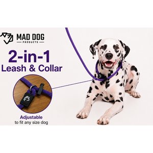 Mad Dog Products Premium Rope Nylon Slip Lead Dog Leash, Black, 6-ft long, 1/4-in wide