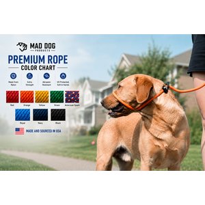 Mad Dog Products Premium Rope Nylon Slip Lead Dog Leash, Black, 6-ft long, 1/4-in wide