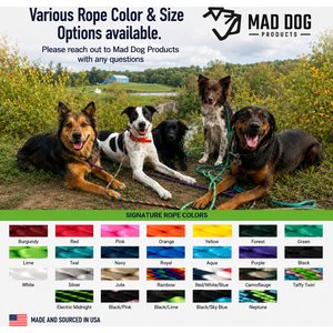 Mad Dog Products Hands Free Slip Lead Dog Leash, Black, 10 ft-3/8 in