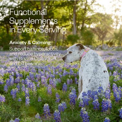 Show full view: MAEV Anxiety & Calming Human-Grade Raw Frozen Beef Dog Food, 20-lb bundle slide 6 of 12