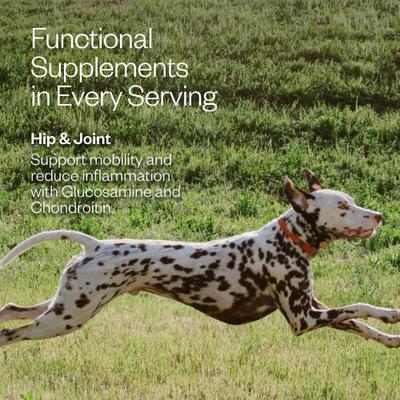 Show full view: MAEV Hip & Joint Human-Grade Raw Frozen Beef Dog Food, 5-lb bag slide 6 of 12