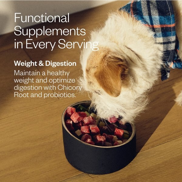 MAEV Weight & Digestion Human-Grade Raw Frozen Beef Dog Food