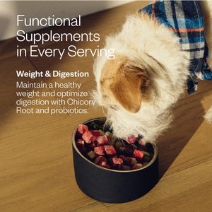 MAEV Weight & Digestion Human-Grade Raw Frozen Beef Dog Food, 5-lb bag