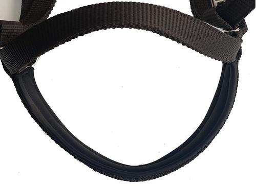 Show full view: Majestic Ally Nylon Padded Browband Headstall & Reins Horse Tack, Chocolate slide 4 of 4