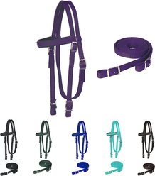 Majestic Ally Nylon Padded Browband Headstall & Reins Horse Tack, Purple