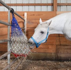 Majestic Ally Slow Feed Horse Hay Net, 56-in, Patriotic slide 2 of 3