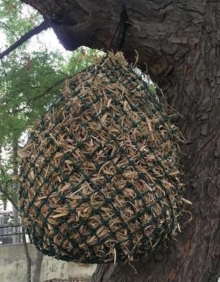 Show full view: Majestic Ally Ultra Slow Feed Horse Hay Net, 1.25 x 1.25-in, 2 count, Hunter Green slide 4 of 5