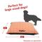 Show in main carousel: Majestic Pet Aruba Personalized Pillow Cat & Dog Bed, Orange, Large slide 3 of 6