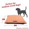 Show in main carousel: Majestic Pet Aruba Personalized Pillow Cat & Dog Bed, Orange, Small/Medium slide 3 of 6