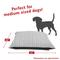 Show in main carousel: Majestic Pet Aruba Super Value Dog Bed, Gray, Small slide 3 of 6