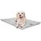 Show in main carousel: Majestic Pet Charlie Personalized Dog Crate Mat, Gray, X-Small slide 4 of 8