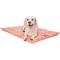 Show in main carousel: Majestic Pet Charlie Personalized Dog Crate Mat, Salmon, X-Large slide 4 of 8