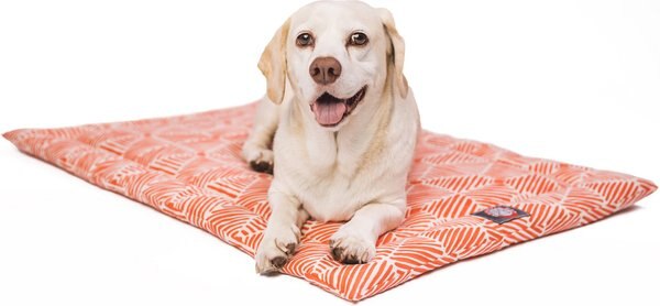 Majestic Pet Charlie Personalized Dog Crate Mat