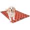 Show in main carousel: Majestic Pet Links Personalized Dog Crate Mat, Red, X-Small slide 4 of 9