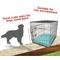 Show in main carousel: Majestic Pet Links Personalized Dog Crate Mat, Teal, X-Large slide 7 of 9