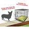 Show in main carousel: Majestic Pet Villa Personalized Crate Mat Dog Bed, Green, Medium slide 5 of 8
