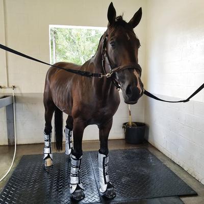 Show full view: Majyk Equipe Cooling + Compression Horse Ice Boots, 2 count slide 2 of 4