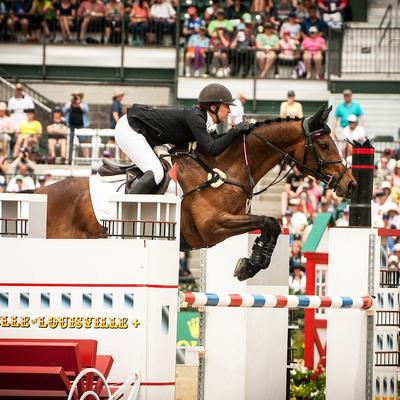 Show full view: Majyk Equipe Vented Infinity Arti-Lage Response Technology Horse Jump Boot, 2 count, Horse-Tendon slide 3 of 3