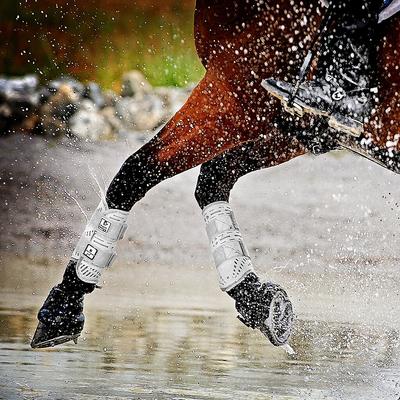 Show full view: Majyk Equipe XC Color Elite Arti-Lage Response Technology Horse Boots, 2 count, Diamond White, Large-Front Pair slide 2 of 3