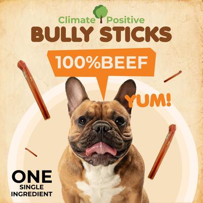 Show full view: Makondo Pets Bully Sticks Dog Treats, 12 count slide 6 of 9