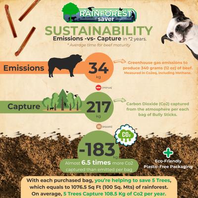 Show full view: Makondo Pets Bully Sticks Dog Treats, 12 count slide 8 of 9