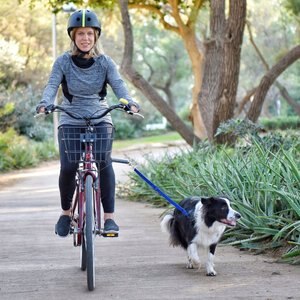 Malabi Carbon Fiber Bicycle Attachment Rotating Dog Bike Leash