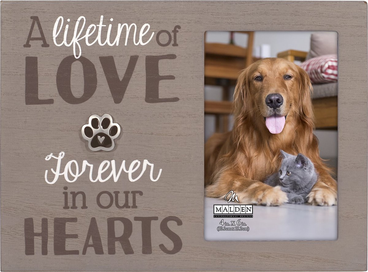 MALDEN INTERNATIONAL DESIGNS "A Lifetime of Love" Memorial Picture
