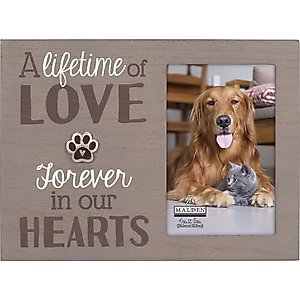 Malden International Designs "A Lifetime of Love" Memorial Picture Frame, 4 x 6-in