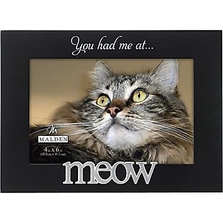 Malden International Designs "You had me at… Meow" Cat Picture Frame, 4 x 6 in slide 1 of 1