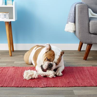 Show full view: Mammoth 100% Cotton Dog Rope Toy, Large slide 2 of 10