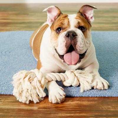 Show full view: Mammoth 100% Cotton Dog Rope Toy, Large slide 3 of 10