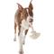 Show in main carousel: Mammoth 100% Cotton Dog Rope Toy, Large slide 4 of 10
