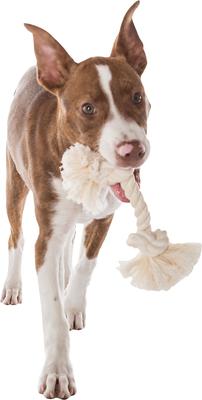 Show full view: Mammoth 100% Cotton Dog Rope Toy, Large slide 4 of 10