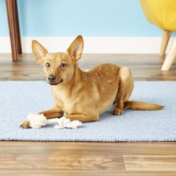 Mammoth 100% Cotton Dog Rope Toy, Mini slide 2 of 5