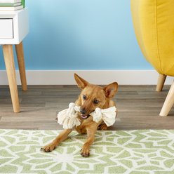 Mammoth 100% Cotton Dog Rope Toy, Small slide 2 of 4