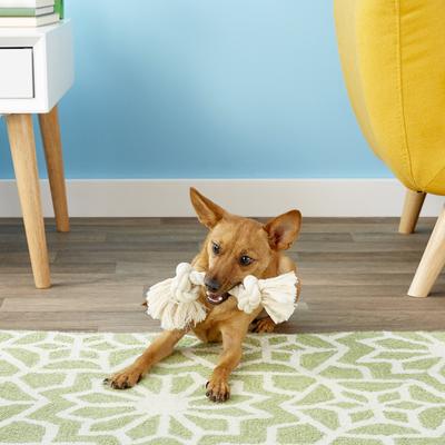 Show full view: Mammoth 100% Cotton Dog Rope Toy, Small slide 2 of 8